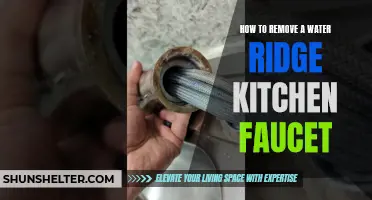 Removing a Water Ridge Kitchen Faucet: A Step-by-Step Guide