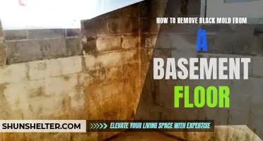 Effective Methods for Removing Black Mold from a Basement Floor