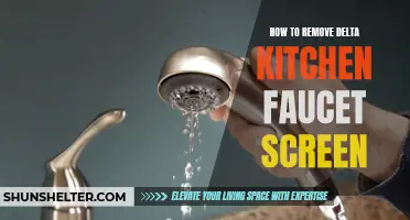 The Ultimate Guide to Removing the Delta Kitchen Faucet Screen
