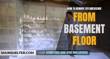 Effective Methods for Removing Efflorescence from Basement Floors
