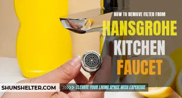 How to Remove the Filter from a Hansgrohe Kitchen Faucet