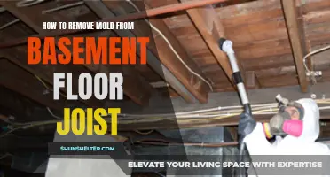 Effective Methods for Removing Mold from Basement Floor Joists