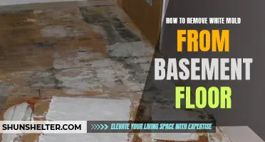 Tips for Removing White Mold from Your Basement Floor