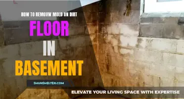 Effective Ways to Remove Mold on a Dirt Floor in the Basement