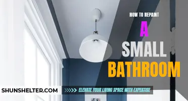 The Complete Guide to Repainting a Small Bathroom