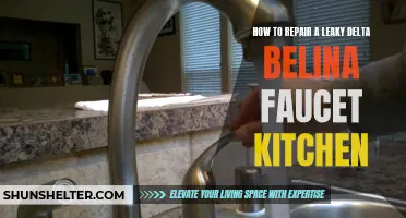Fixing a Leaky Delta Belina Faucet in Your Kitchen