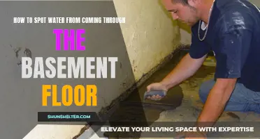 Signs of Water Seeping Through Your Basement Floor: How to Spot and Address the Issue