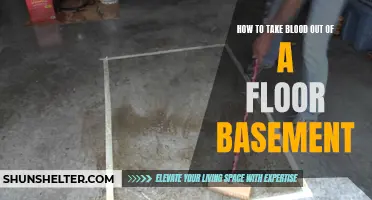Removing Blood Stains from a Basement Floor: Effective Tips and Tricks