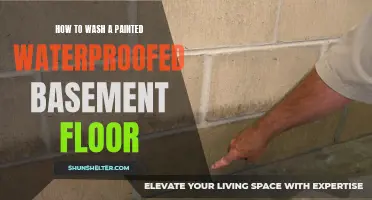 The Best Way to Clean a Painted Waterproofed Basement Floor