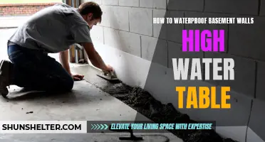 The Ultimate Guide to Waterproofing Basement Walls with a High Water Table