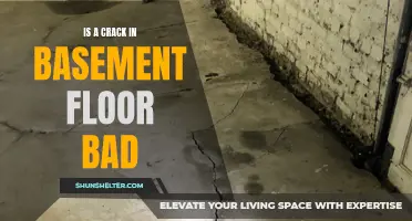 Why a crack in the basement floor could be a cause for concern