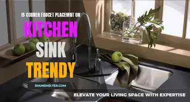 The Latest Trend in Kitchen Sinks: Corner Faucet Placement
