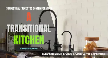 Why an Industrial Faucet May Not be the Best Choice for a Transitional Kitchen