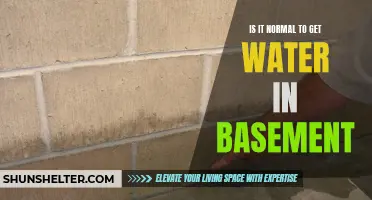 Is It Normal to Have Water in Your Basement? Here's What You Need to Know