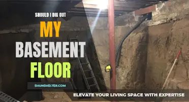 Is It Worth Digging Out My Basement Floor?