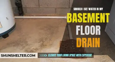 Is Water in My Basement Floor Drain Normal? What You Need to Know