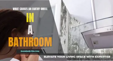 The Mystery Unearthed: Unveiling the Causes Behind an Earthy Smell in Your Bathroom