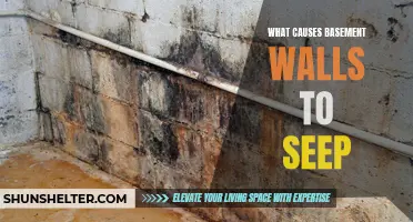 Common Causes of Seeping Basement Walls
