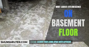 Understanding the Causes of Efflorescence on Basement Floors