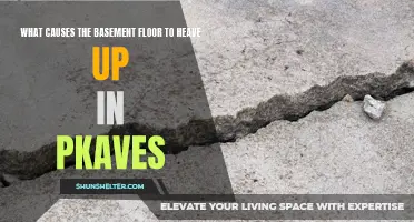 Understanding the Causes of Heaving Basement Floors in Pkaves