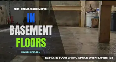 Understanding the Causes of Water Seepage in Basement Floors