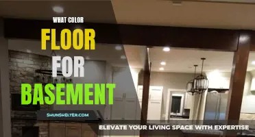 Choosing the Right Color for Your Basement Floor