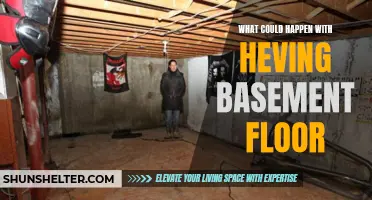 The Numerous Possibilities for Your Basement Floor