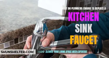 Evaluating the Cost of Replacing a Kitchen Sink Faucet: What Plumbers Charge