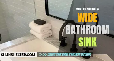 What is a Spacious Bathroom Sink Called?