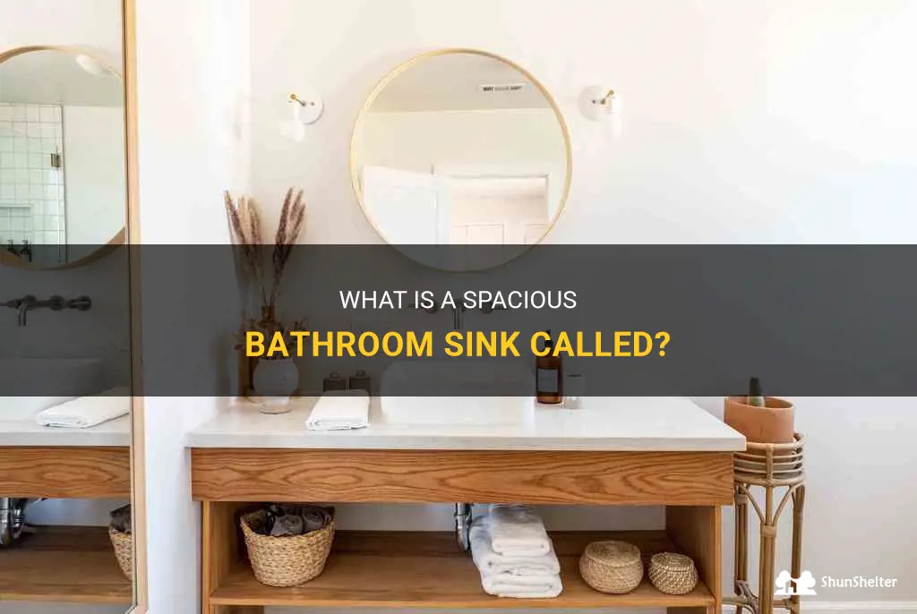 what do you call a wide bathroom sink