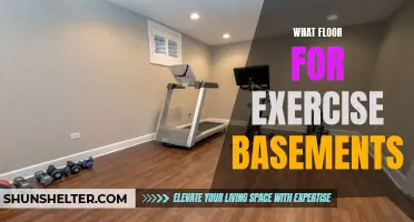 Finding the Best Floor for Your Exercise Basement