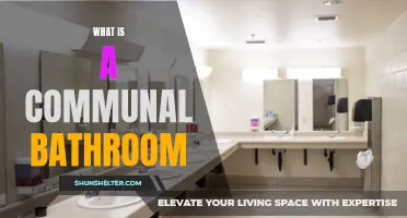 Understanding the Concept of a Communal Bathroom