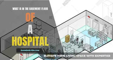 Exploring the Secrets of the Hospital Basement Floor: What Lies Beneath