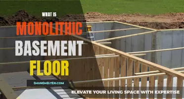 Understanding the Basics of Monolithic Basement Flooring