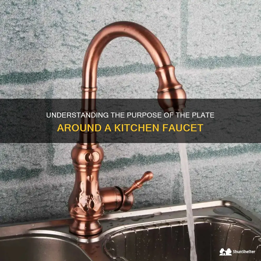 what is plate around kitchen faucet called
