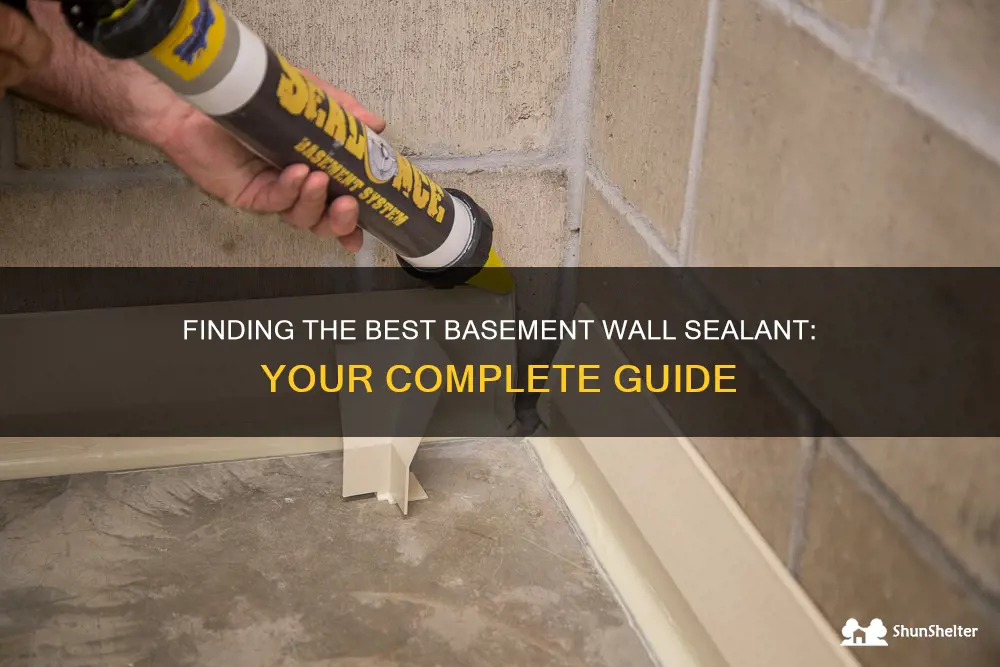 Finding The Best Basement Wall Sealant: Your Complete Guide | ShunShelter