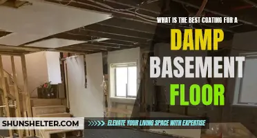 The Best Coating to Prevent Dampness on Your Basement Floor