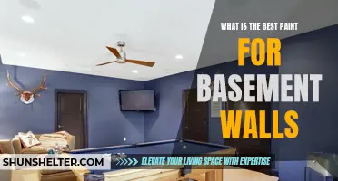 Choosing the Perfect Paint for Basement Walls: A Comprehensive Guide