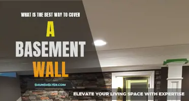 The Ultimate Guide to Covering a Basement Wall: What Is the Best Way?