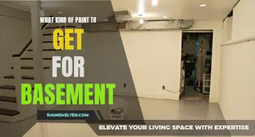 Choosing the Best Paint for Your Basement: A Comprehensive Guide