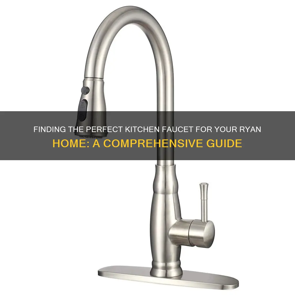 what kitchen faucet does ryan homes use