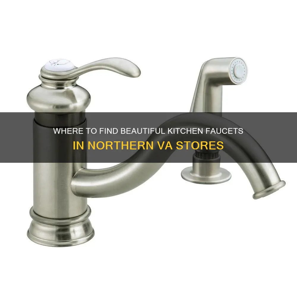what stores has nice kitchen faucets in northern va