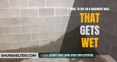 The Best Solution for a Wet Basement Wall: What to Use