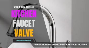 The Most Popular Kitchen Faucet Valve for a Modern Home