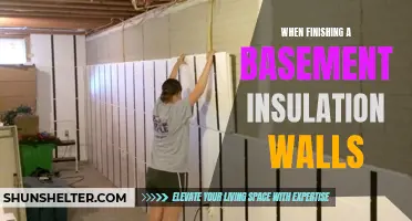 Insulation Tips for Finishing a Basement’s Walls