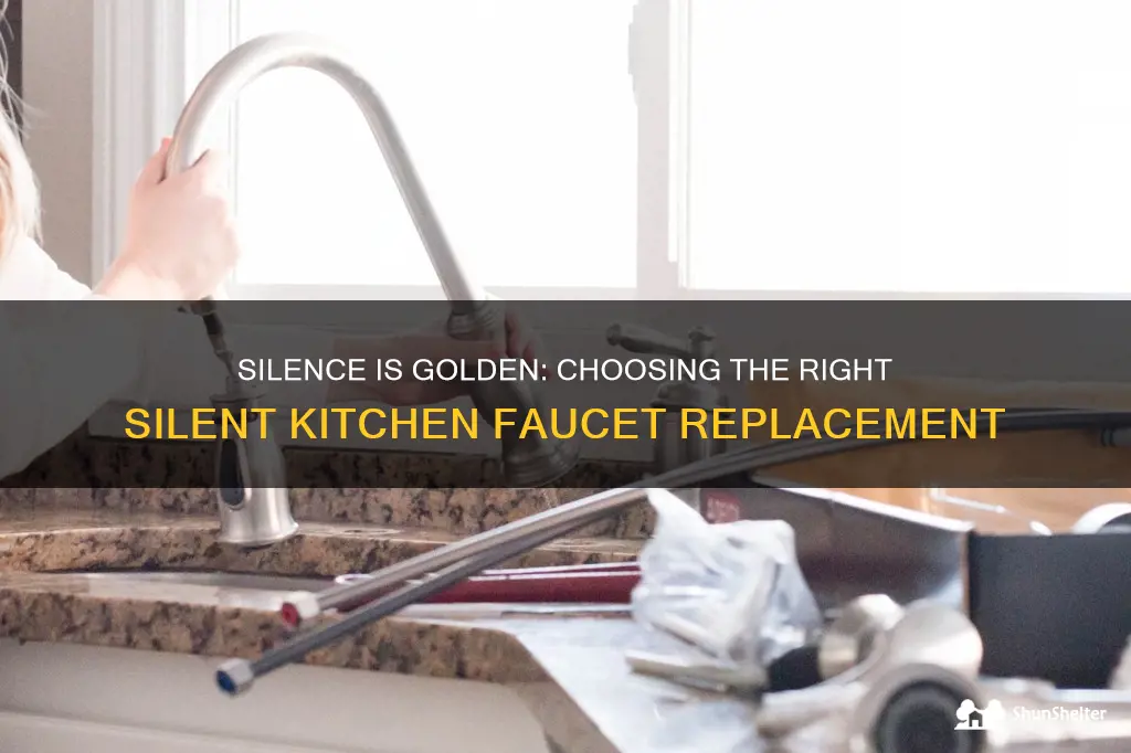 when replacing a kitchen faucet what silisent is needed