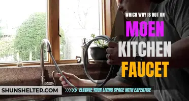 Discover the Hottest Trend in Moen Kitchen Faucets
