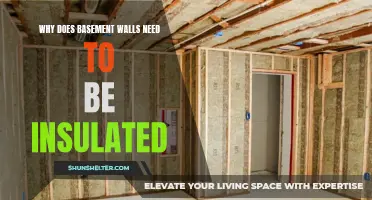 Why Insulating Basement Walls is Essential for Energy Efficiency