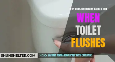 Why Does the Bathroom Faucet Run When the Toilet Flushes: Explained