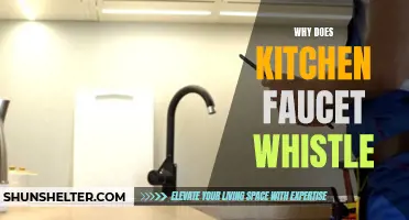 Why Does Your Kitchen Faucet Whistle? Explained Here